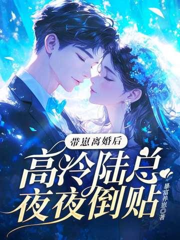 高冷陆总夜夜倒贴免费阅读