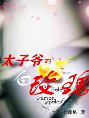 太子爷的白玫瑰全本TXT