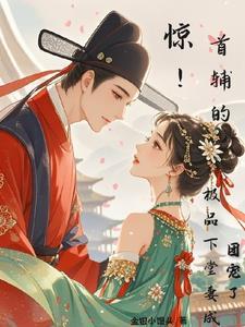 首辅家的小娘子全文免费阅读