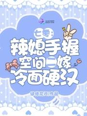 七零辣媳妇