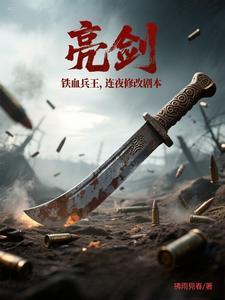 亮剑连长