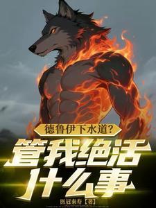 德鲁伊任务线