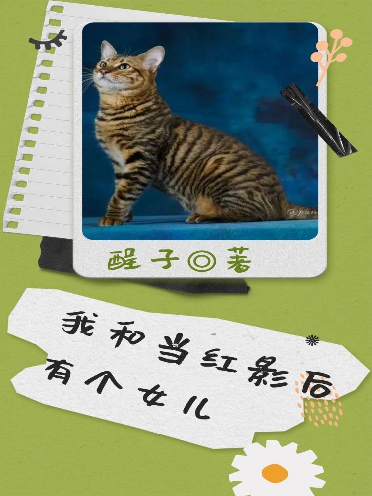 我和影后网恋了[娱乐圈