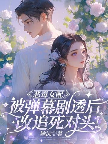恶毒女配是什么