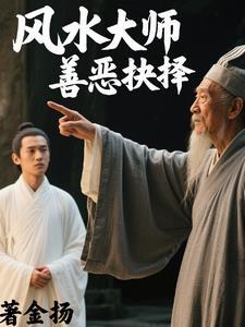 风水大师善恶抉择在线阅读