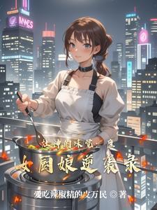 炉灶女神