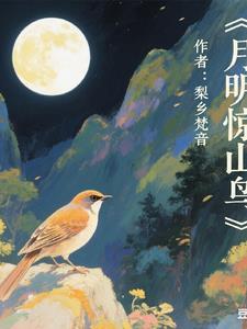 月惊山鸟后面是哪一句