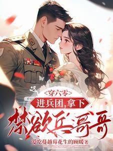穿越六零兵团小军嫂txt