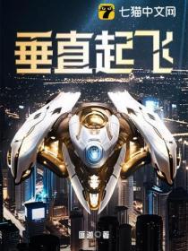 垂直起飞歼6