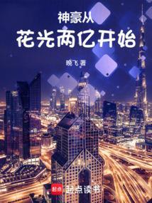 神豪从花钱开始叶阳