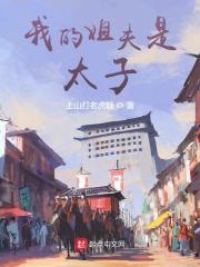 我的姐夫是太子有声