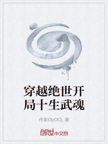 穿越绝世武魂世界
