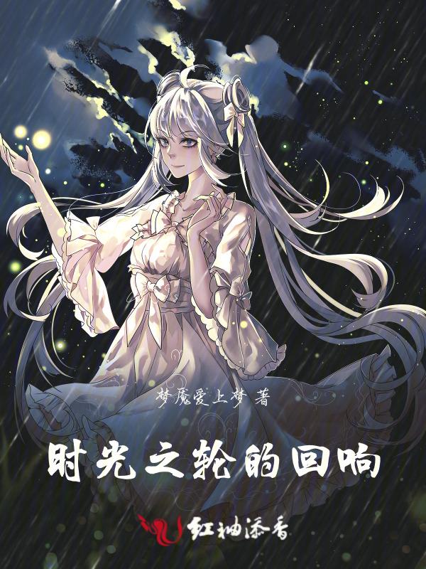 时光之轮13