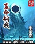 篡命铜钱无删减版txt