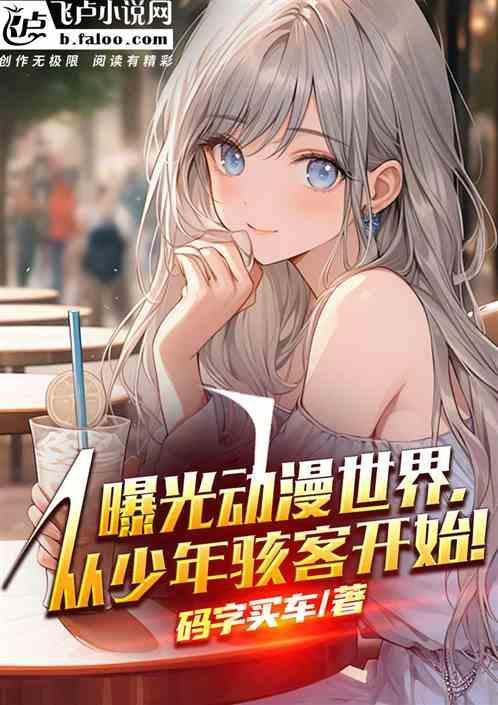 少年骇客的动画片第一季