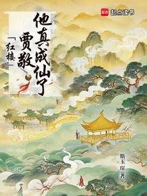 红楼贾敬夫人