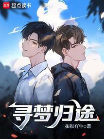 寻觅归途的意思