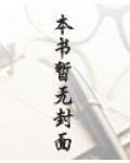 风雨燕归来是真实故事吗
