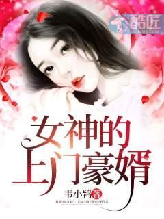 女神的上门豪婿全文免费1311