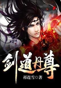 剑道丹尊等级