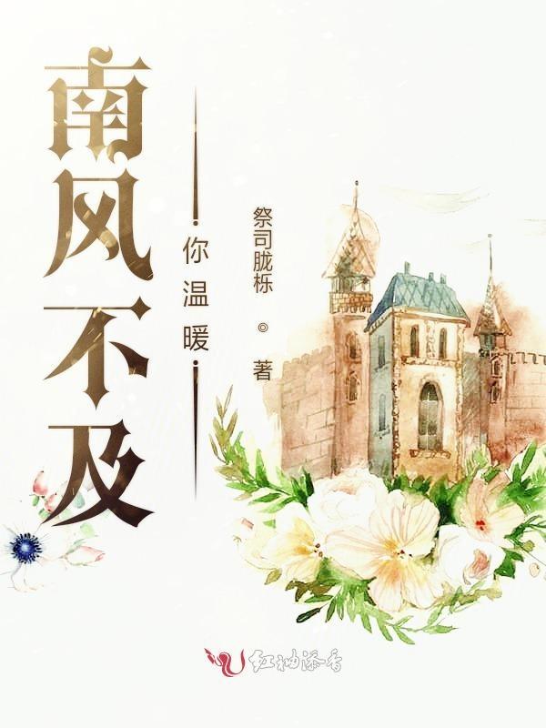 南风不及你温柔免费阅读