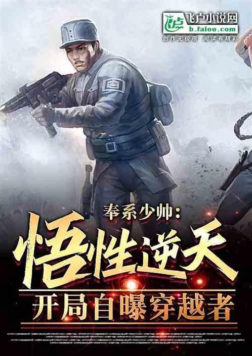 奉系啥意思