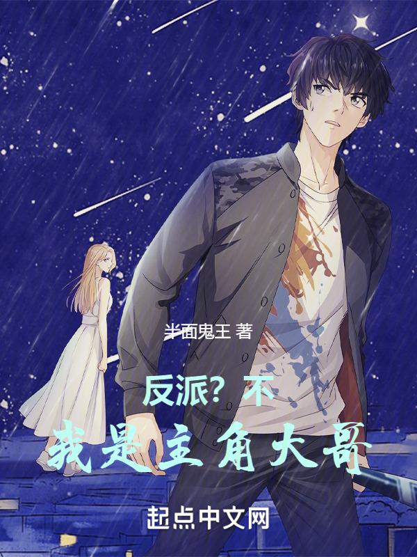 我是主角反派叶枫