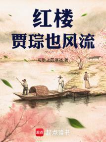 主角叫贾琮的红楼