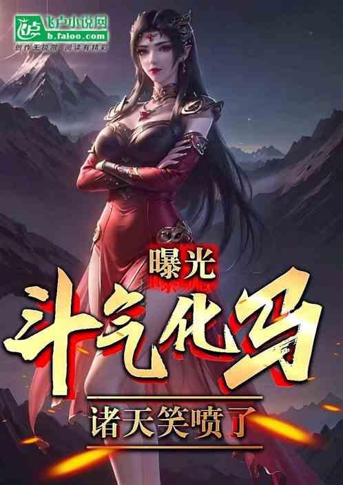 斗气化马之类的梗