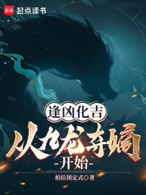 从九龙夺嫡开始柏拉图定式