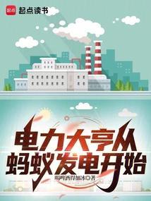 空闲电力大亨