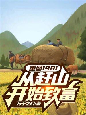 重生回到1981