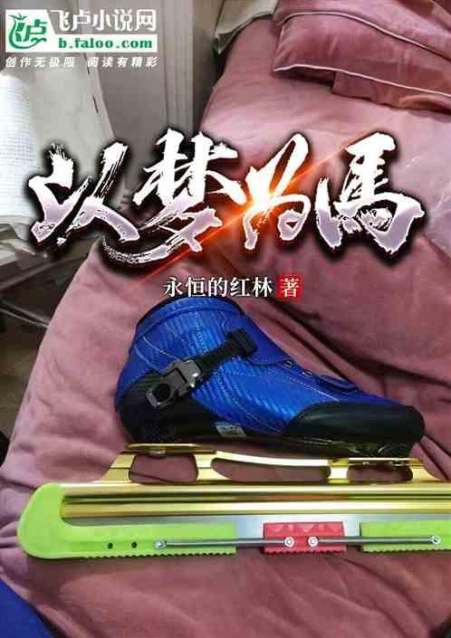 以梦为马不负韶华的读音