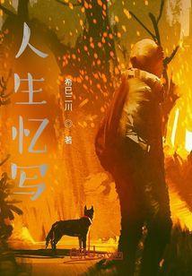 意思人生