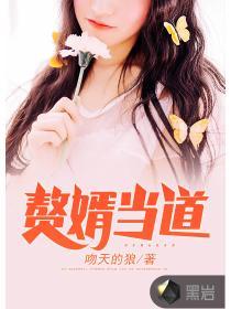 旷世神婿无弹窗
