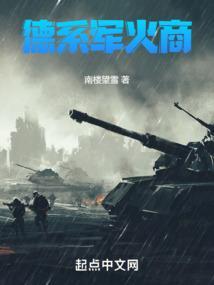 美国著名的军火商