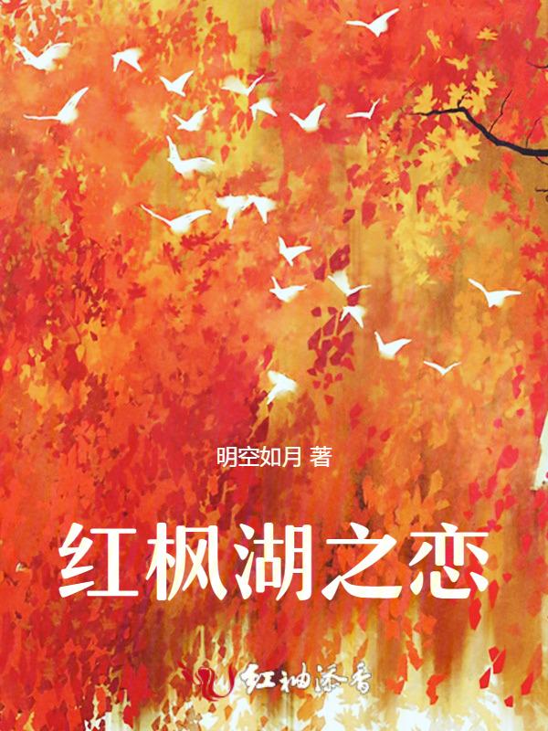 红枫湖镇
