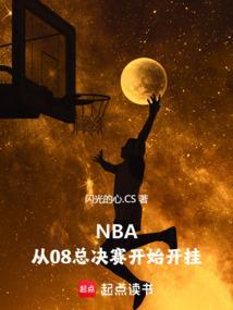 nba08赛季总决赛