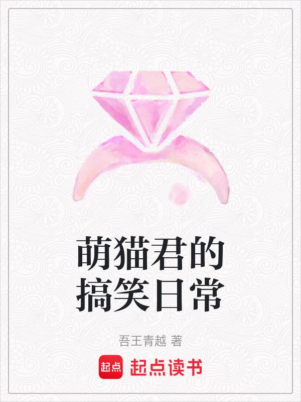 萌猫 图片