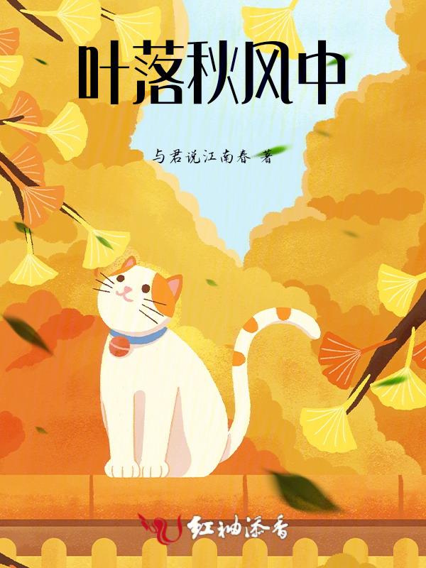 叶落秋枫