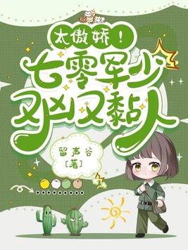 军妻