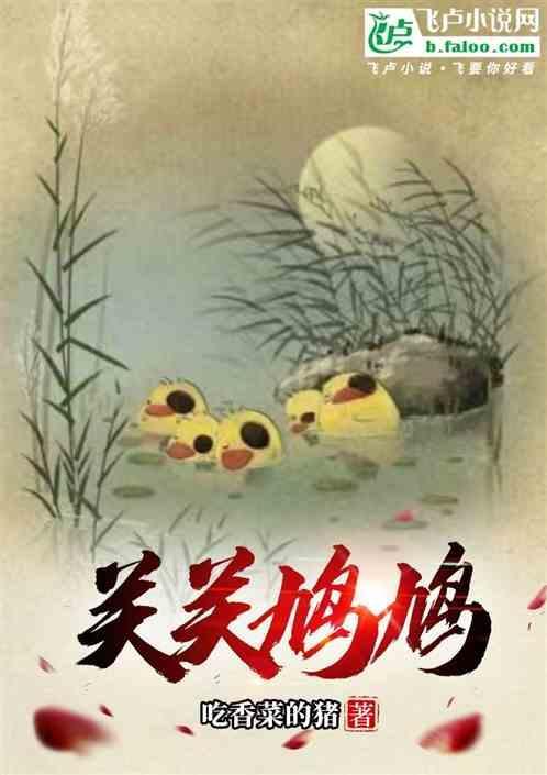 关关雎鸠在河之洲啥意思