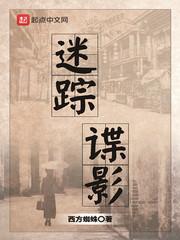迷踪谍影有声免费收听