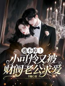 书名小可怜被偏执大佬抱走了浏览器可以看