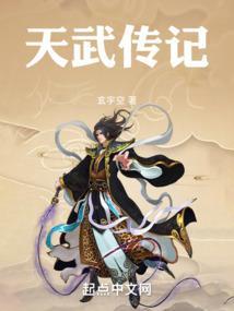天武传说