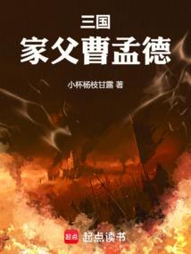 三国曹家宗亲