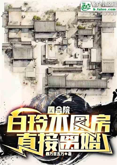 四合院从离婚开始笔趣阁