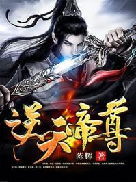 赘婿之逆天帝尊
