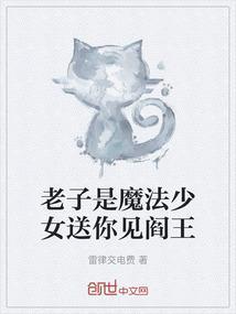 老子是魔法少女全集