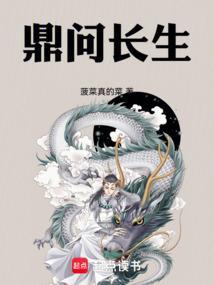 问鼎 丁长林免费